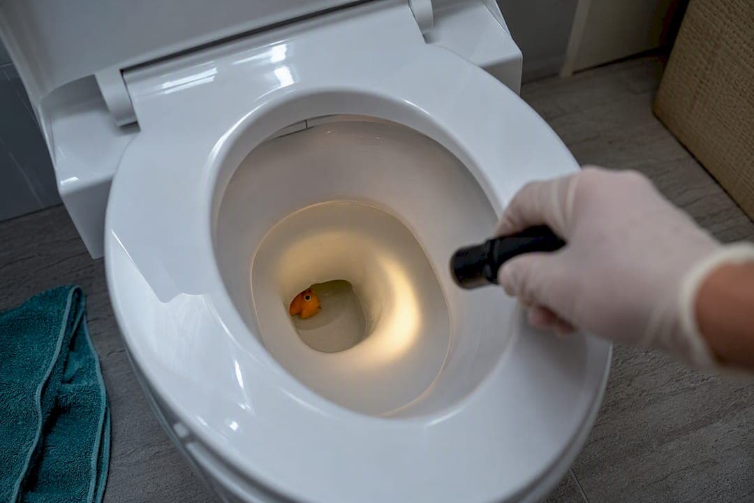 4 Least Invasive Ways to Retrieve a Child's Toy From the Toilet